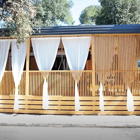 营地 Mobile Ivana 比奥格勒·纳·莫鲁