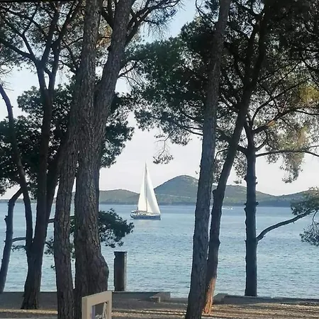 Mobile Ivana 营地 *